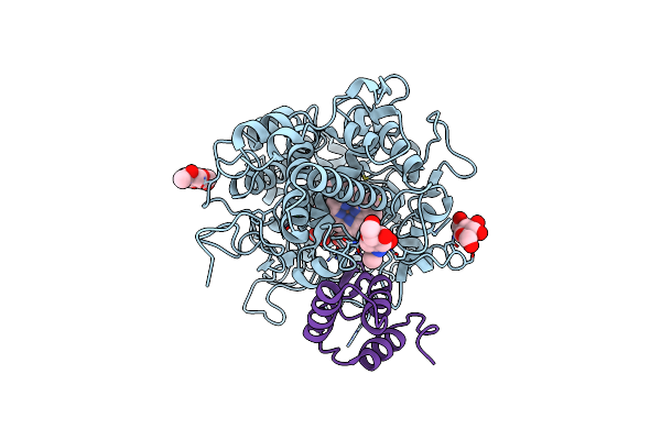 6BMT image