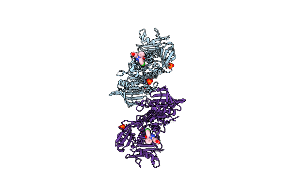 6BMV image
