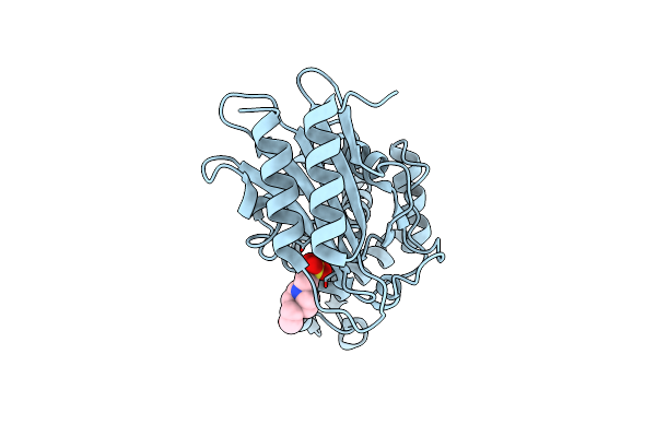 6BN3 image