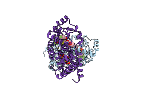 6BN6 image
