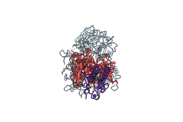 6BN7 image