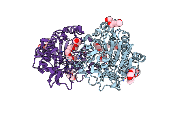 6BNC image
