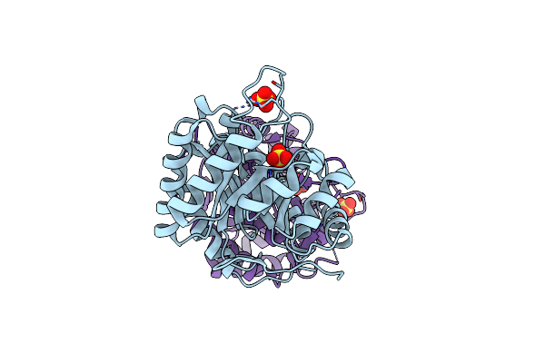 6BNG image