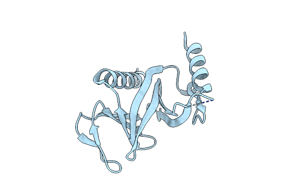 6BNM image