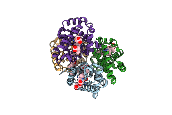 6BNR image