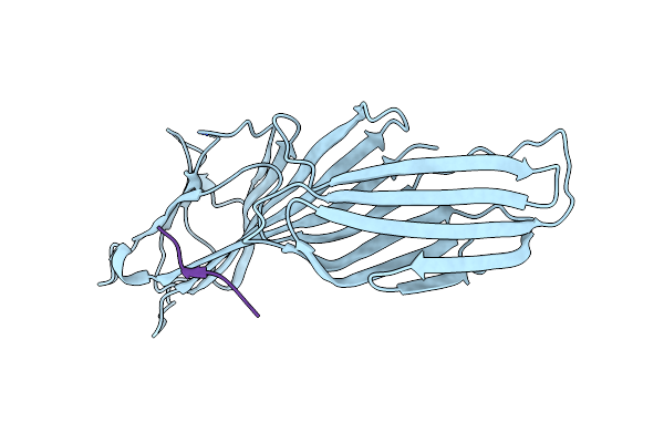 6BNT image