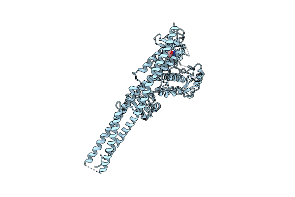 6BOE image