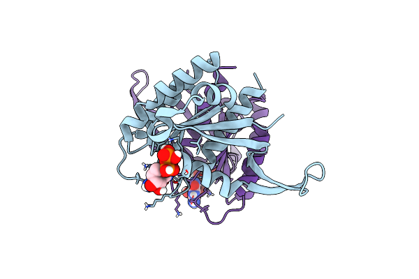 6BOF image