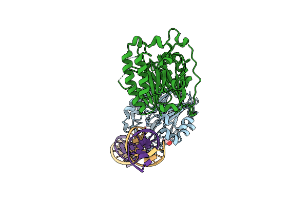 6BOT image