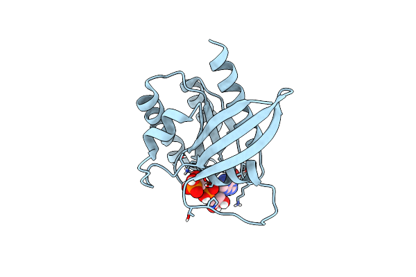 6BP1 image