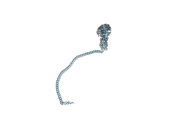 6BP7 image