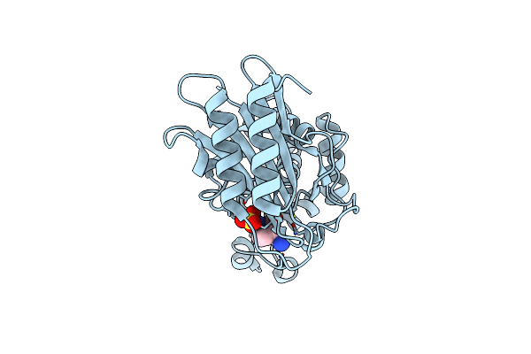 6BPF image