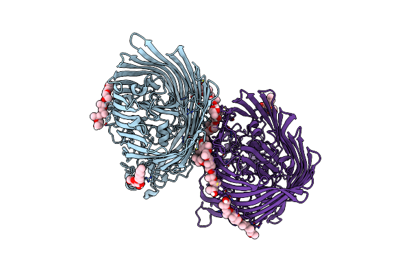 6BPM image