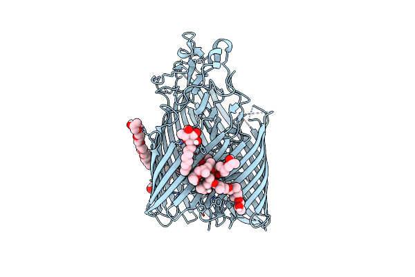 6BPN image