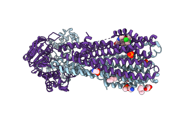 6BPP image
