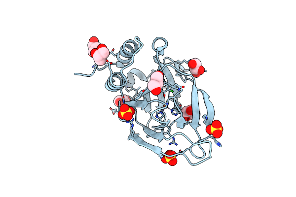 6BPW image