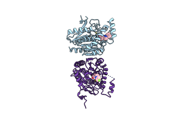 6BQ0 image