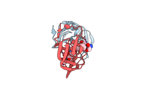 6BRA image