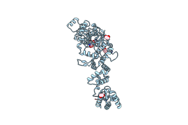 6BRL image