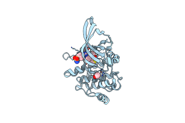 6BRW image