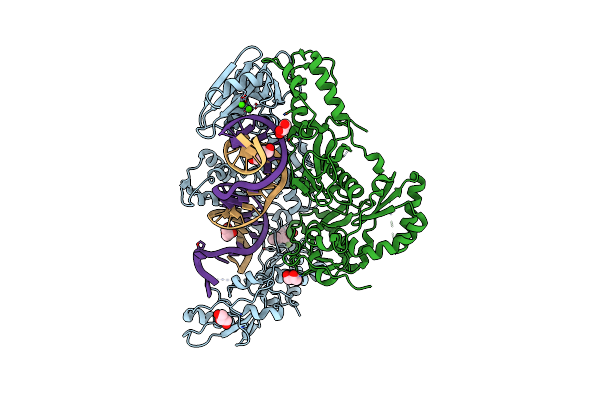 6BSG image