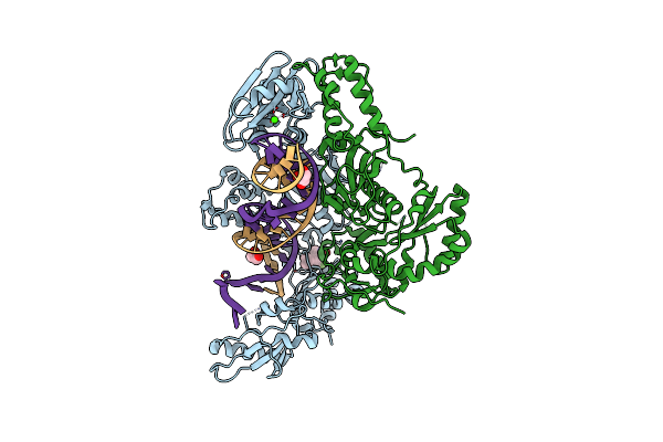6BSI image