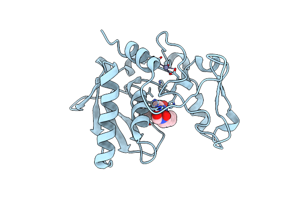 6BSM image