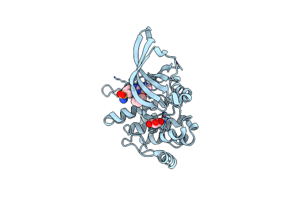 6BSS image