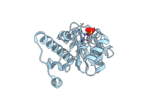 6BTD image