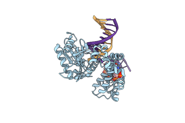 6BTE image