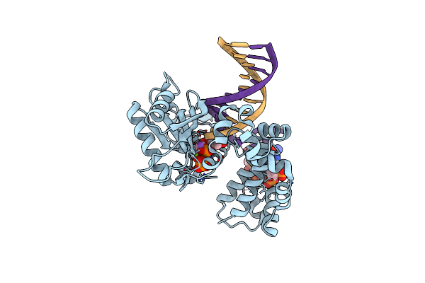 6BTF image