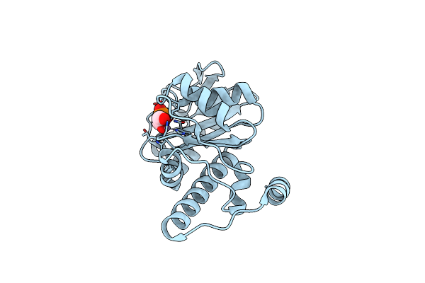6BTG image