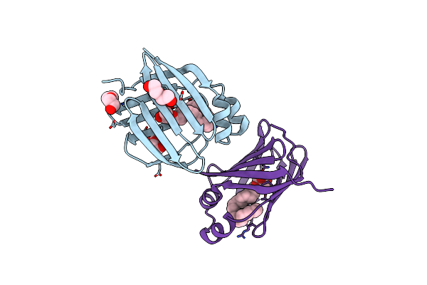 6BTH image