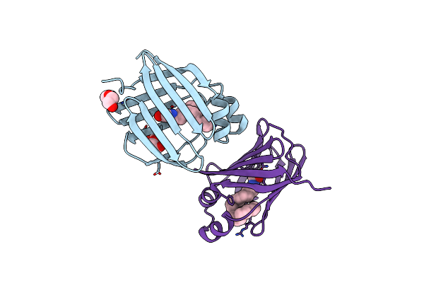 6BTI image