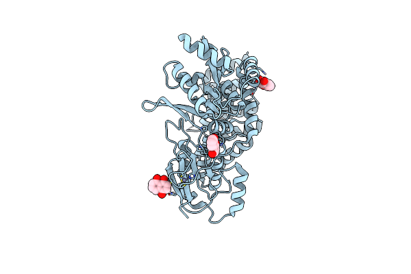 6BV6 image