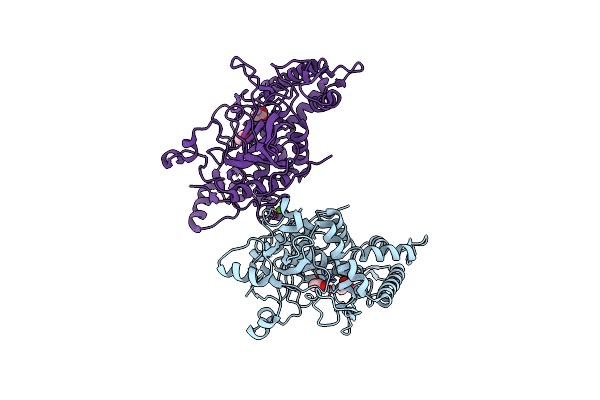 6BVD image