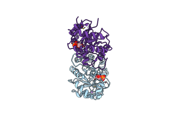 6BVE image