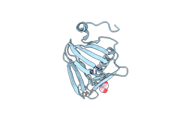 6BVP image