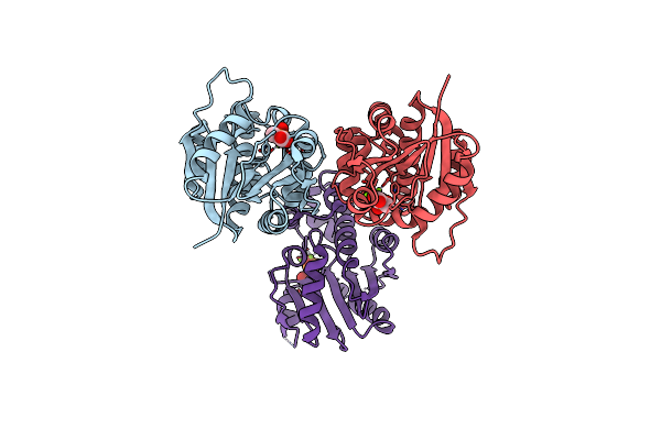 6BWH image
