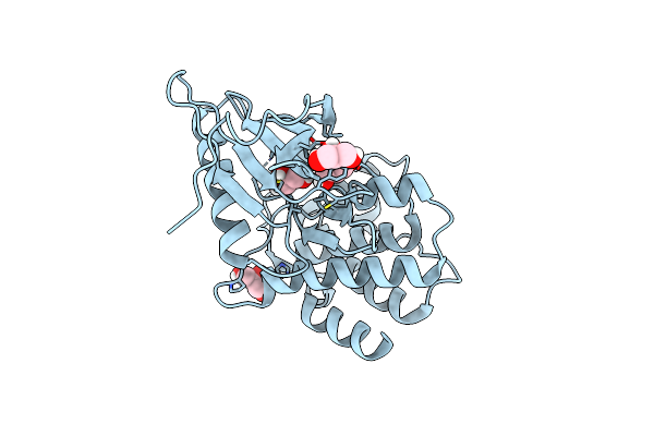 6BWK image