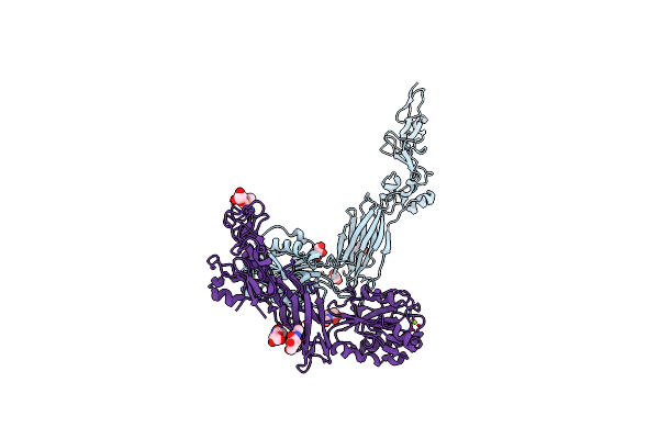 6BXB image