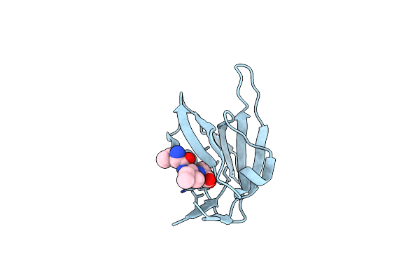 6BXG image