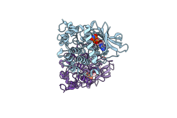 6BXI image