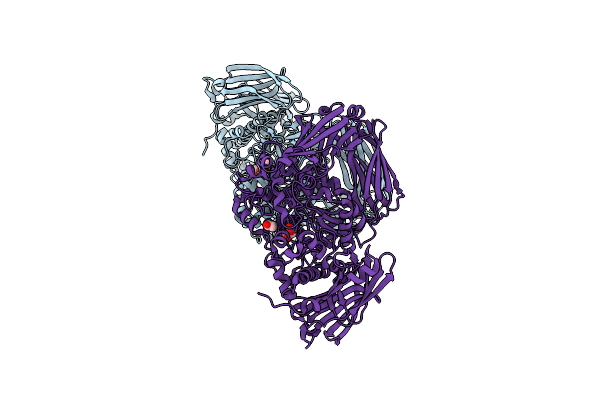 6BYE image