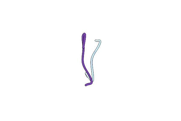 6BZM image