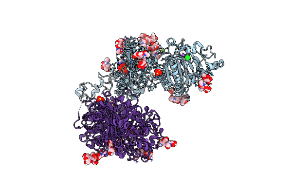 6C02 image