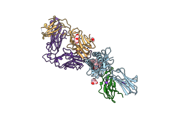 6C09 image