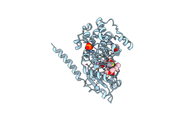 6C0U image