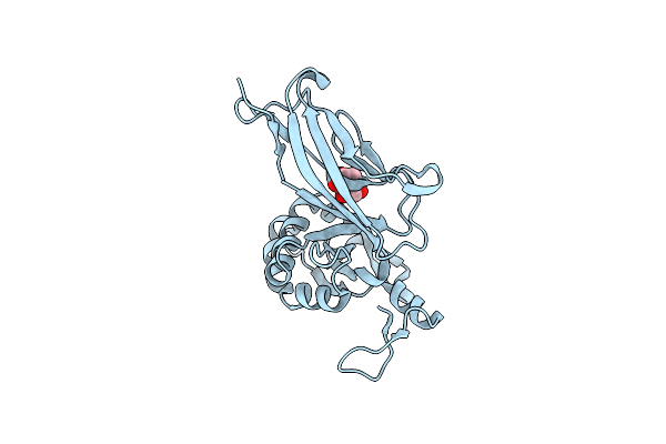 6C10 image