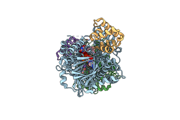 6C12 image